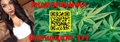 не бодяженный Краснодар