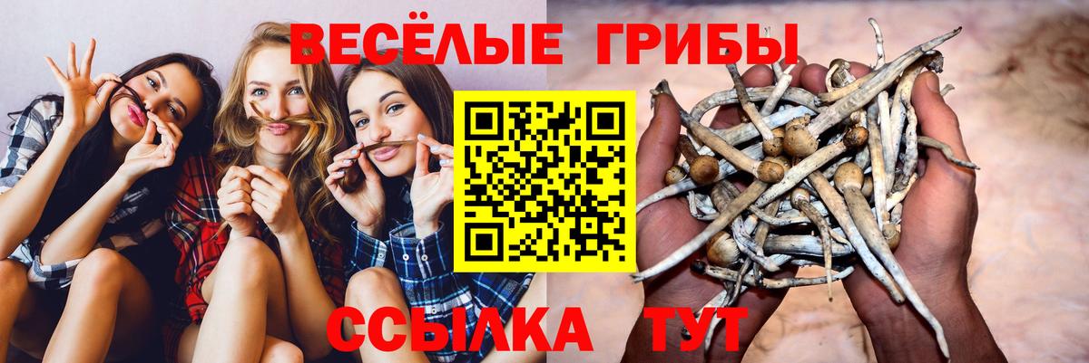 Дивногорск  Псилоцибиновые грибы мухоморы  где купить наркоту  Вход с VPN 